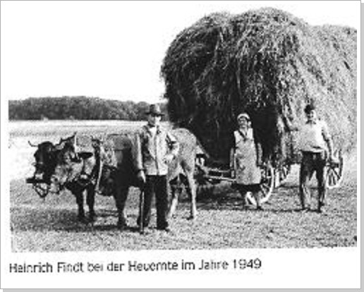 0031_heuernte_h_findt_1949.jpg