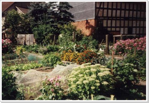 0017_garten2.jpg